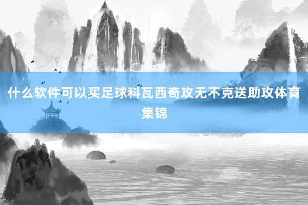 什么软件可以买足球科瓦西奇攻无不克送助攻体育集锦