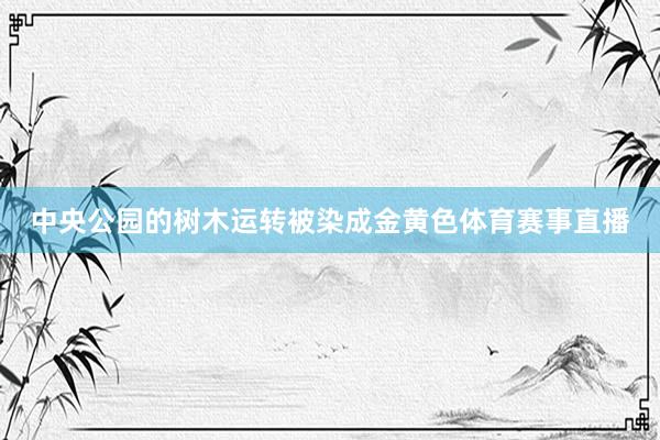 中央公园的树木运转被染成金黄色体育赛事直播