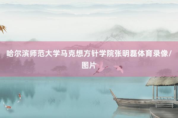哈尔滨师范大学马克想方针学院张明磊体育录像/图片