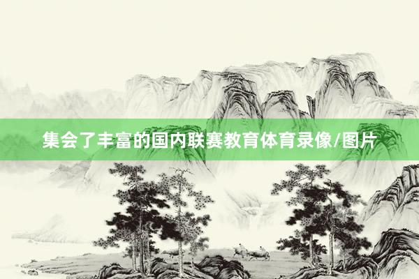 集会了丰富的国内联赛教育体育录像/图片