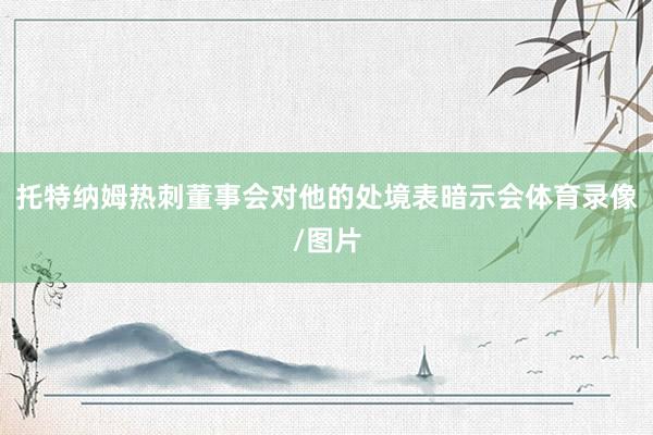 托特纳姆热刺董事会对他的处境表暗示会体育录像/图片