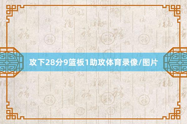 攻下28分9篮板1助攻体育录像/图片