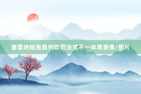 塞雷纳炮轰裁判吹罚法式不一体育录像/图片
