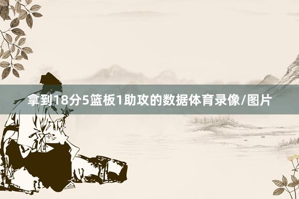 拿到18分5篮板1助攻的数据体育录像/图片